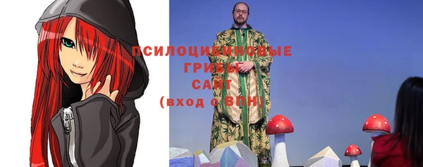гидра Алексин