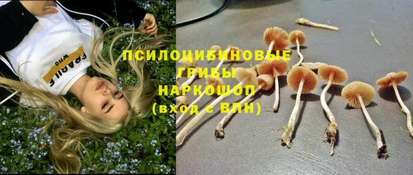 гидра Алексин